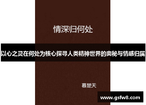 以心之灵在何处为核心探寻人类精神世界的奥秘与情感归属